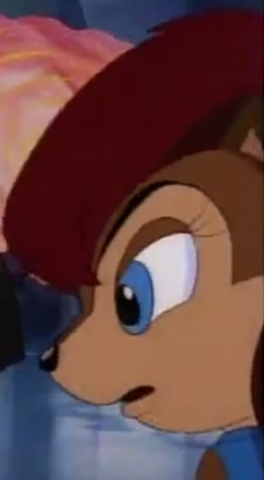 "Never give up on your dreams!" 
#Hugs4Sally🐿