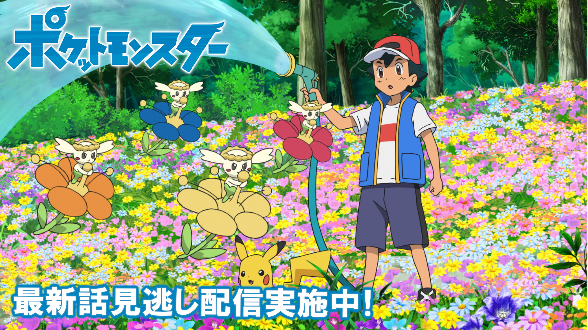 טוויטר ポケモン公式ツイッター בטוויטר ポケモン公式youtubeチャンネルでは アニメ ポケットモンスター の見逃し配信を行っているよ 前回のお話は フラベベの白い花 明日5月21日 金 よる6時55分からの最新話の放送前に これまでのサトシとゴウの冒険も