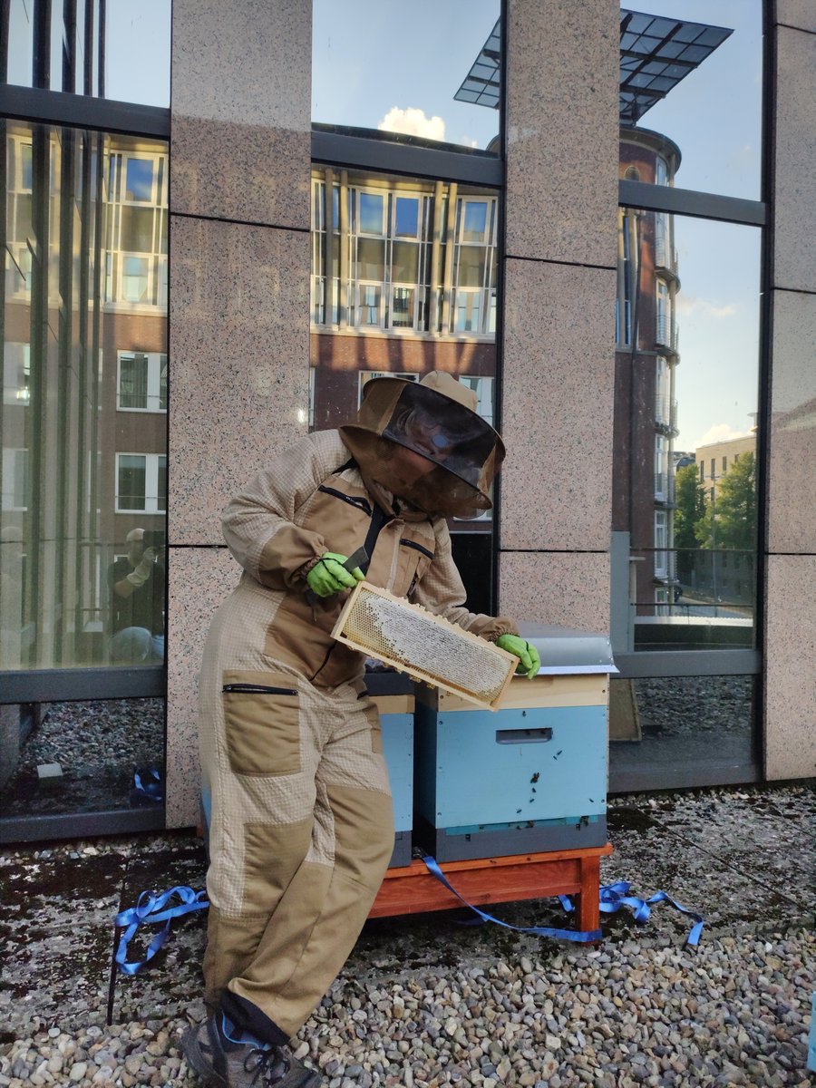 Condor Versicherungen tweet media