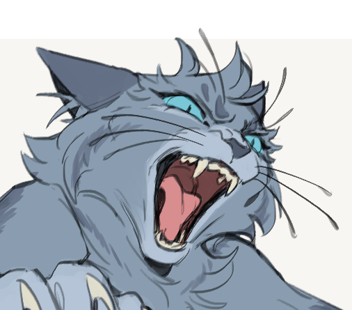 How to draw Angry Cat Face 