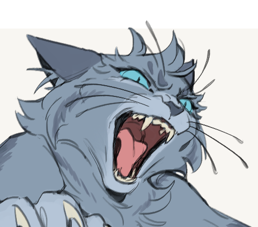 How to draw angry cat 