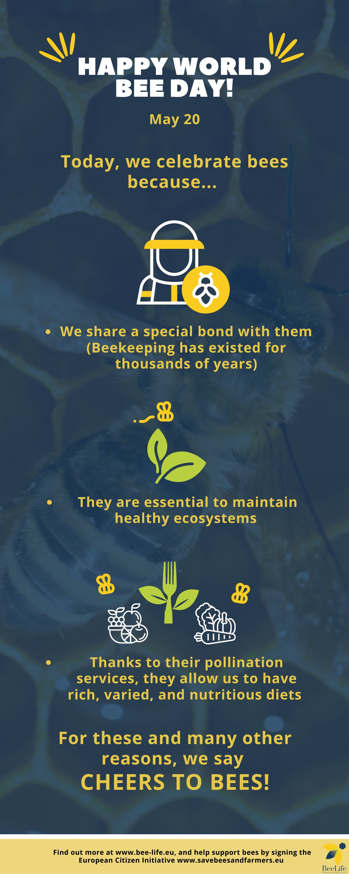 Beelife European Beekeeping Coordination Happy Worldbeeday Today We Celebrate Bees For Many Different Reasons Including The Special Bond We Share Their Role In Maintaining Healthy Ecosystems And Much More We