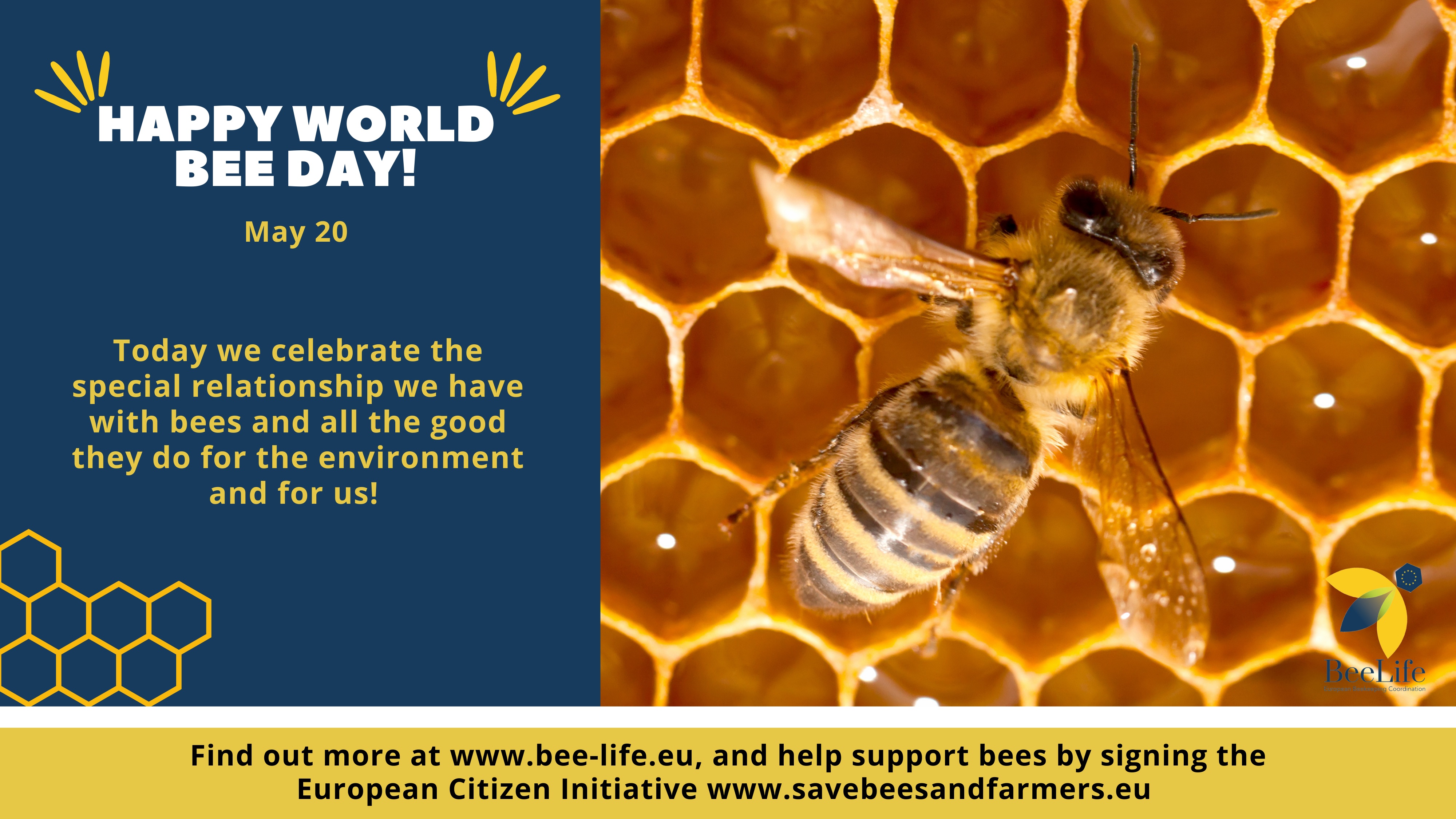 Beelife European Beekeeping Coordination Happy Worldbeeday Today We Celebrate Bees For Many Different Reasons Including The Special Bond We Share Their Role In Maintaining Healthy Ecosystems And Much More We
