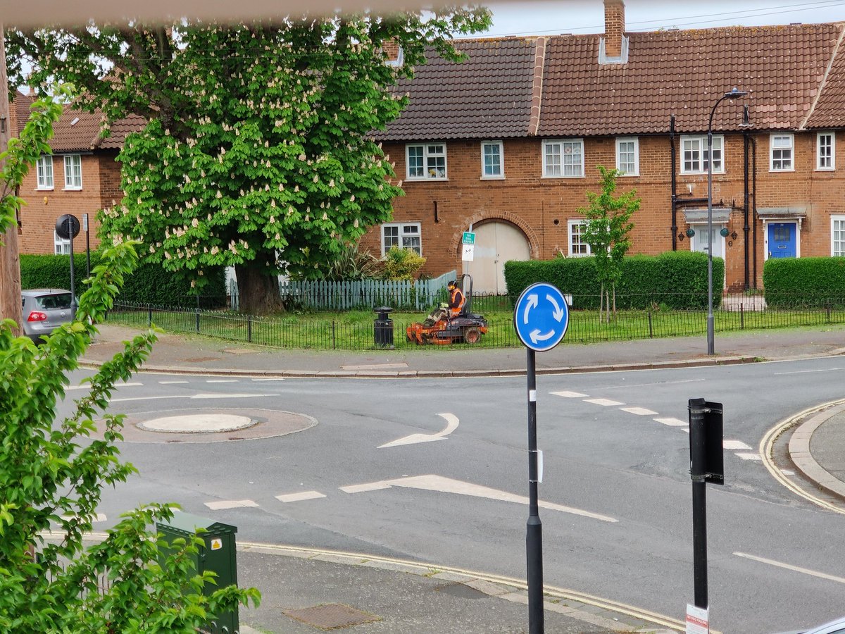 _TARoberts's tweet photo. @LBHF Here's a picture of 'no mow May' in action on Sundew Ave - where the council are mowing all the green spaces right now! Can you explain this please? https://t.co/oJgIUhZrwH