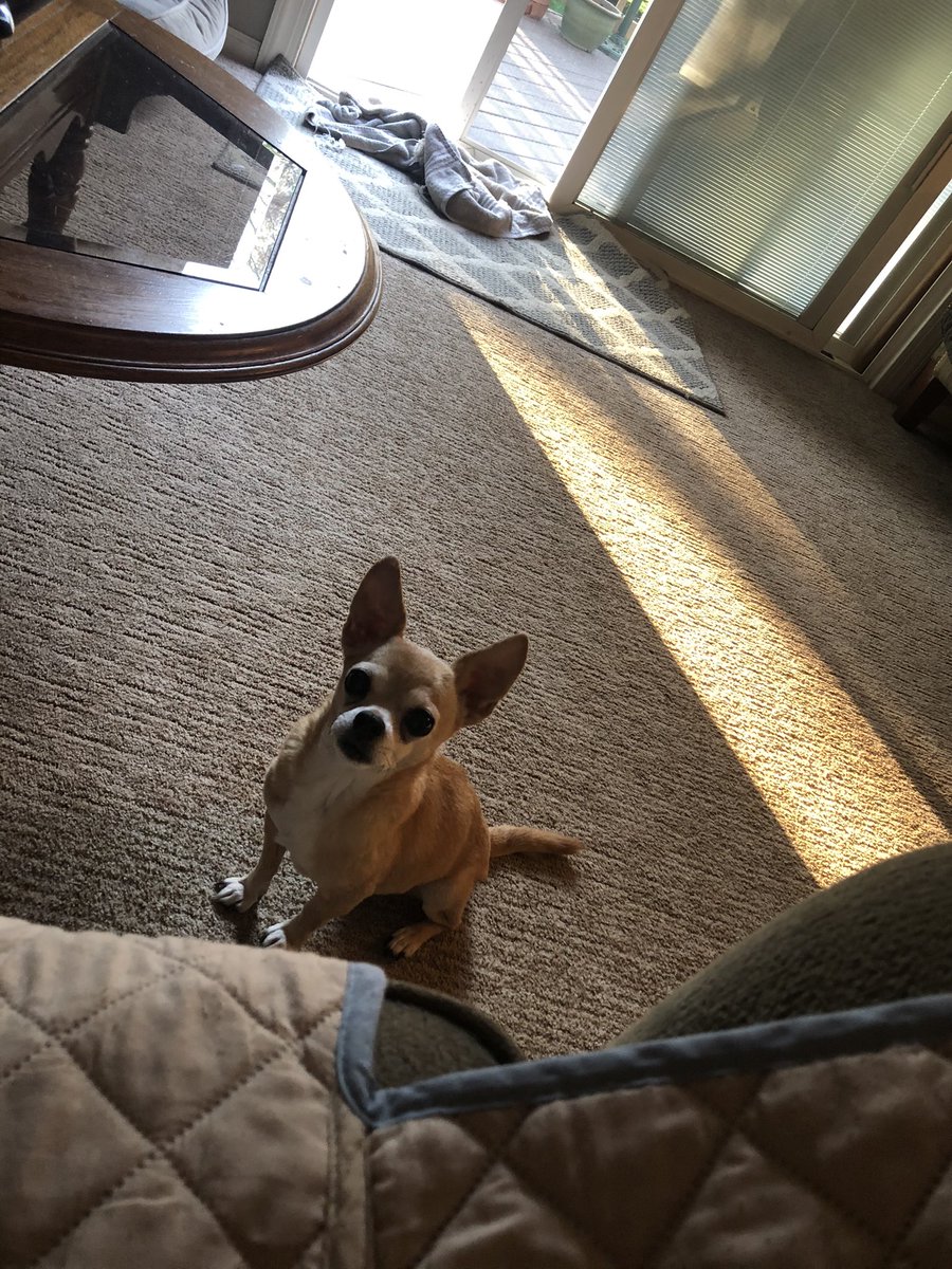 Minnie (@MinnieCuteness) / Posts / X