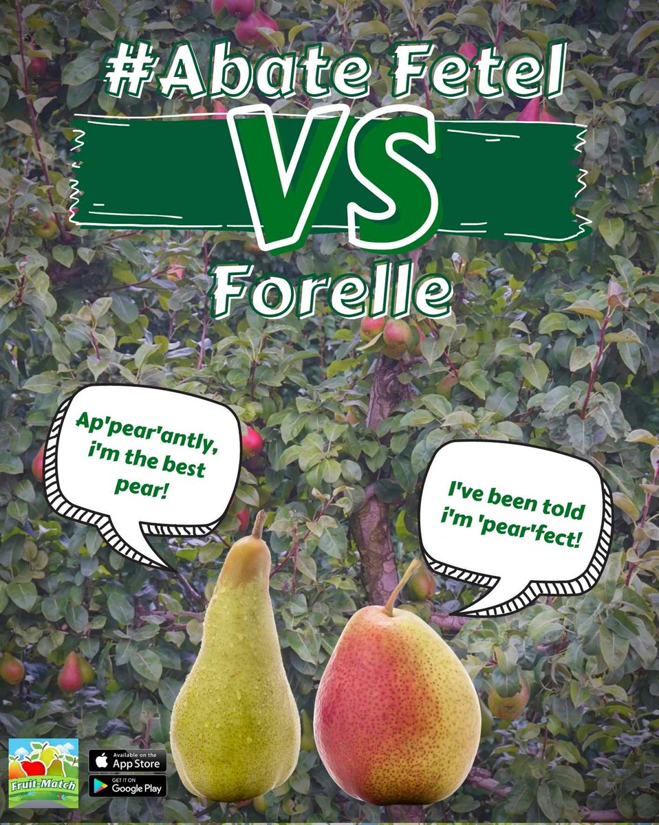 @Tru-CapeFruit tweet media