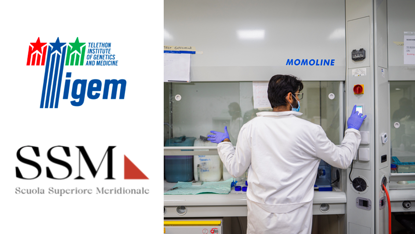 Tigem Telethon (@tigem_telethon) on Twitter photo ☞Do you want to do a #PhD in #Genomic and Experimental #Medicine?
☞Do you want to work in the stimulating environment of <a href="/Tigem_Telethon/">Tigem Telethon</a>?
The #ScuolaSuperioreMeridionale PhD programmes are now open for applications! More info here:
ssm.unina.it/en/phd-scholar…
Deadline 1st July 2021 ☞Do you want to do a #PhD in #Genomic and Experimental #Medicine?
☞Do you want to work in the stimulating environment of <a href="/Tigem_Telethon/">Tigem Telethon</a>?
The #ScuolaSuperioreMeridionale PhD programmes are now open for applications! More info here:
ssm.unina.it/en/phd-scholar…
Deadline 1st July 2021