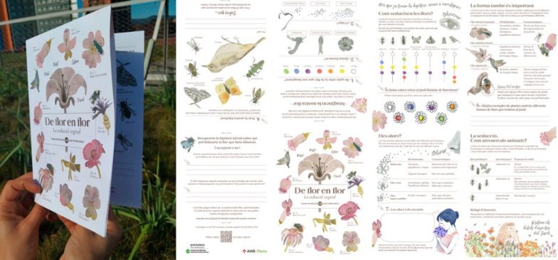 En el #DiaMundialDeLesAbelles us recomanem visitar l'exposició #MésQueAbellesMCNB (avui entrada lliure!) i, quan en sortiu, passejar pel Jardí Botànic amb mirada de pol·linització de la mà del quadern 'De flor en flor. La seducció vegetal': museuciencies.cat/activitats/de-…

#WorldBeeDay