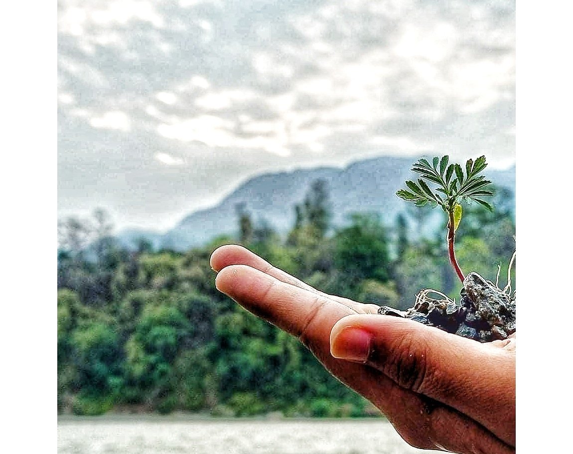 Sarcastic_012's tweet photo. Flower will not grow, if the stem doesn't allow. 🌱💚📸
.
.
.
#NatGeo #NaturePhotography #nature #naturelover #naturephotograpahy #Sunflowers #mountain #Canon #rishieksh #Uttarakhand #PicOfTheDay https://t.co/QZAC139Bij