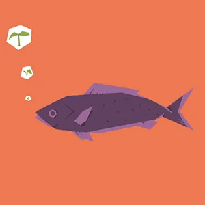 Jessica Tengvall tweet media