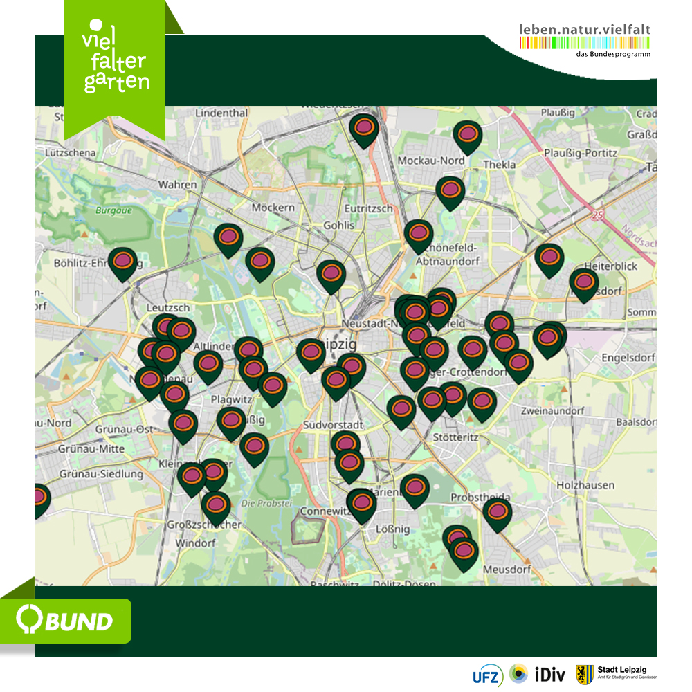 So viele VielFalterGärten haben wir schon in Leipzig!🦋

Mach auch du mit! Infos unter: vielfaltergarten.de/tag-der-artenv…

#bpbv #biologischevielfalt #vielfaltergarten