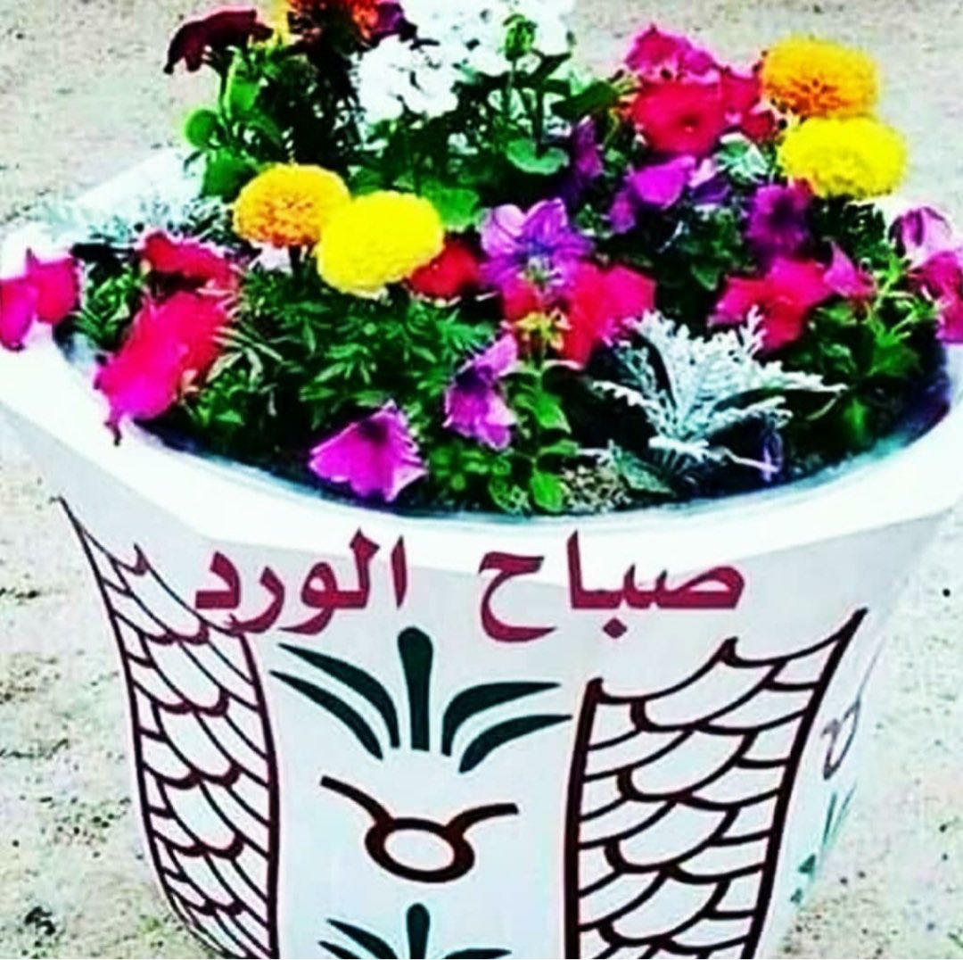 <a href="/noof_7777/">‏َ غلَا عُنَيْزَةُ</a> اللهم امين
وايامك احلى واجمل