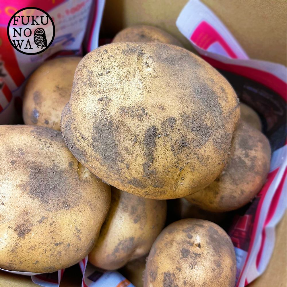 増量キャンペーン 宮崎産 じゃがいも 3kg オホーツクチップ 農家漁師から産地直送の通販 ポケットマルシェ