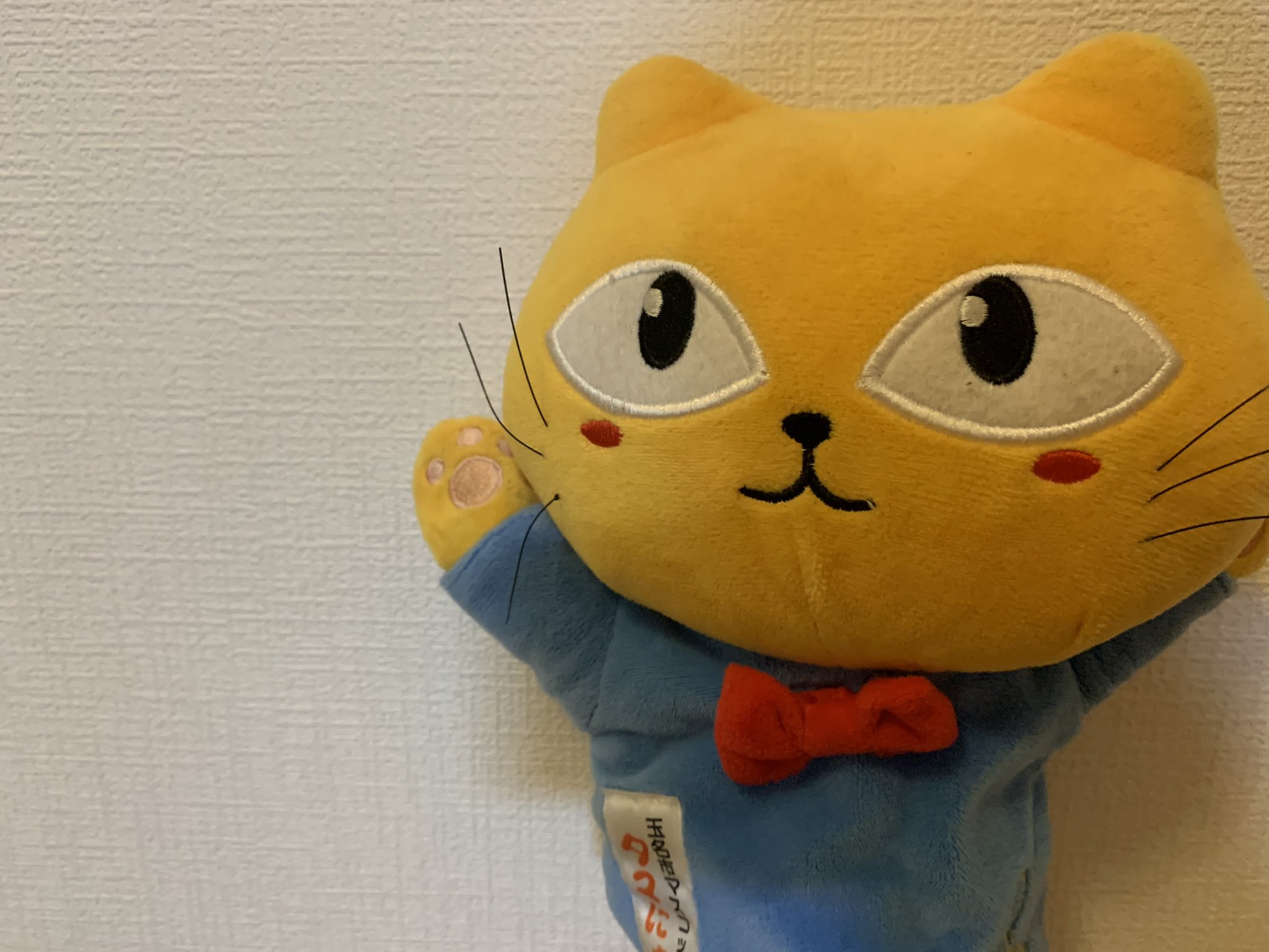 タマにゃん すごい大雨だにゃあ みんにゃお気をつけてにゃ