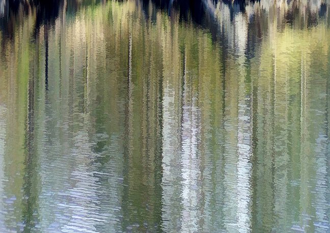 Roundabout #reflections #spring #colour #tarnhows #abstract #change #green #tarn #photo #trees #photography #photoart #landscape #art #cumbria #lakeland #Thelakes #lakedistrict #cumbriaart #artfusions #fusionart #northernart #artlovers #artnow #yes visit lakeland-art.co.uk