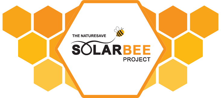 WeAreNaturesave's tweet photo. A little thread on our Solar Bee Project for #WorldBeeDay.
#bees #solarbee #Biodiversity #CommunityEnergy
@CuckmereSolar @SouthillSolar @plymenergycom @WiltsWildlife @Chelwood_CE @YealmEnergy
๐
https://t.co/vAMWlX0Whx https://t.co/52bNZnP1cp