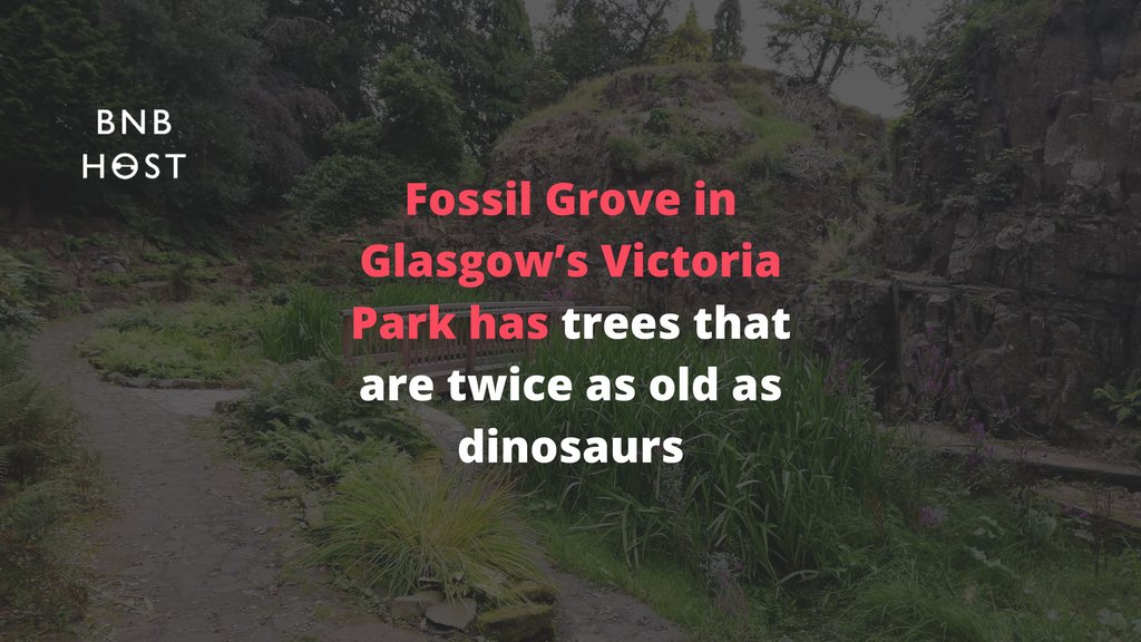 bnbhost's tweet image. That's one #GlasgowFact for you!

Another is that our properties are currently going for at least three times the average nightly rate during @COP26 🔑🌎

Find out more: buff.ly/3heT4OF
#COP26 #Glasgow #PropertyManagement