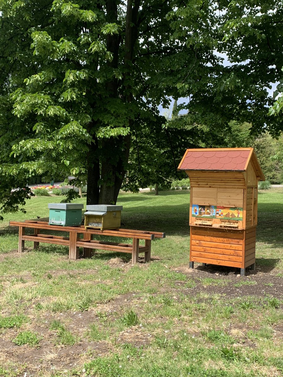 missaglia_sara's tweet photo. La casa delle api presso la @fondazionemach a San Michele all’Adige.
.
🐝
.
#worldbeeday #beesafe #savethebees #tobeeornottobee #wineoneway #WoW https://t.co/34KMk7TLZ0