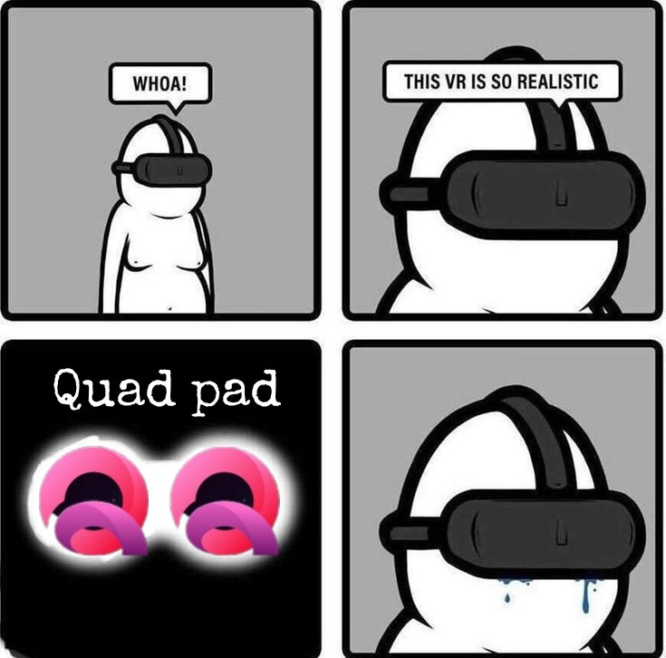 rashyainara's tweet photo. @quad_pad My entry
#memecontest
#meme
#Quadpad https://t.co/V4BZOO3e7f