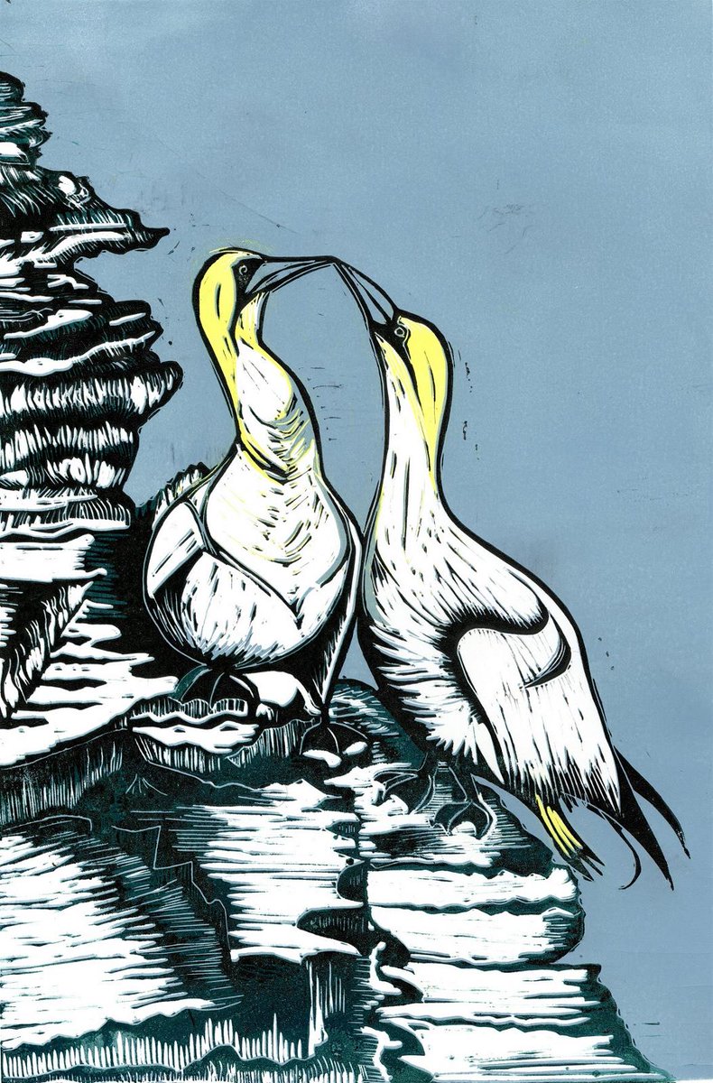 Camb Drawing Society tweet media