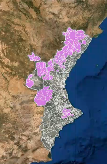 En rosa els municipis valencians considerats en risc de despoblament. 180 sobre 542. Un 33'33%