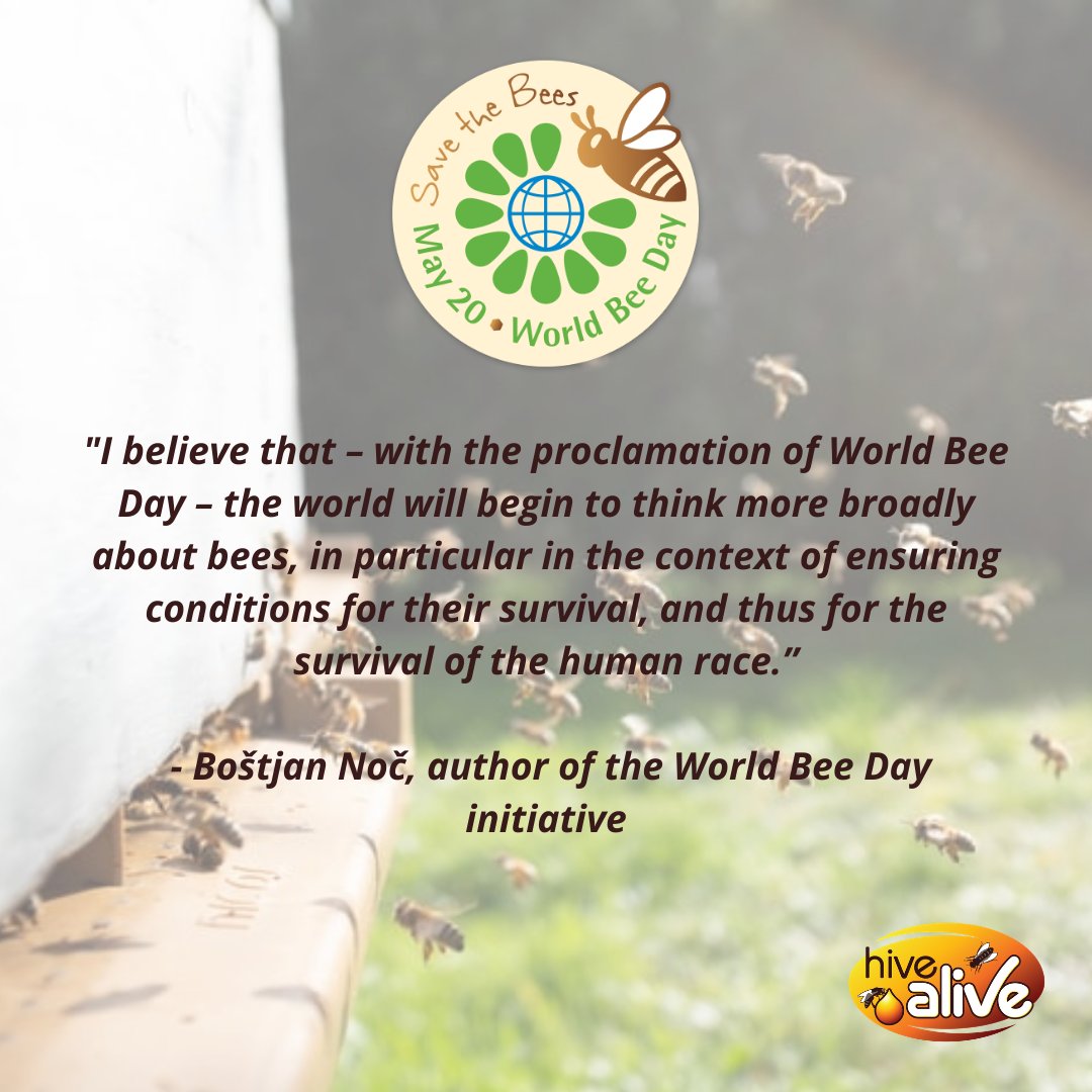 Today is World Bee Day 🐝🐝

Bees role as one of the worlds major pollinators means they play a vital role in crop yields, ensuring food security, sustainable agriculture and biodiversity.

Find out more here: worldbeeday.org/en/about/the-p…

#WorldBeeDay #Worldbeeday2021 #pollinators