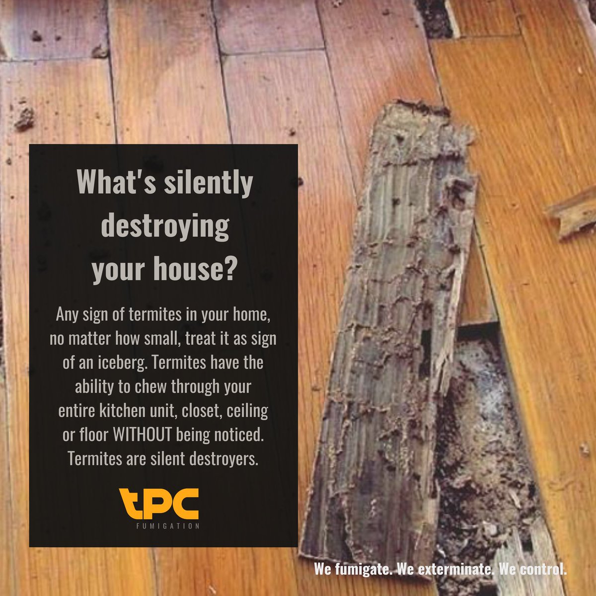 tpcfumigation's tweet image. Termites are silent destroyers of property. It's always important to carry out routine inspections of your property to avoid surprises
#WeFumigate #WeExterminate #WeControl