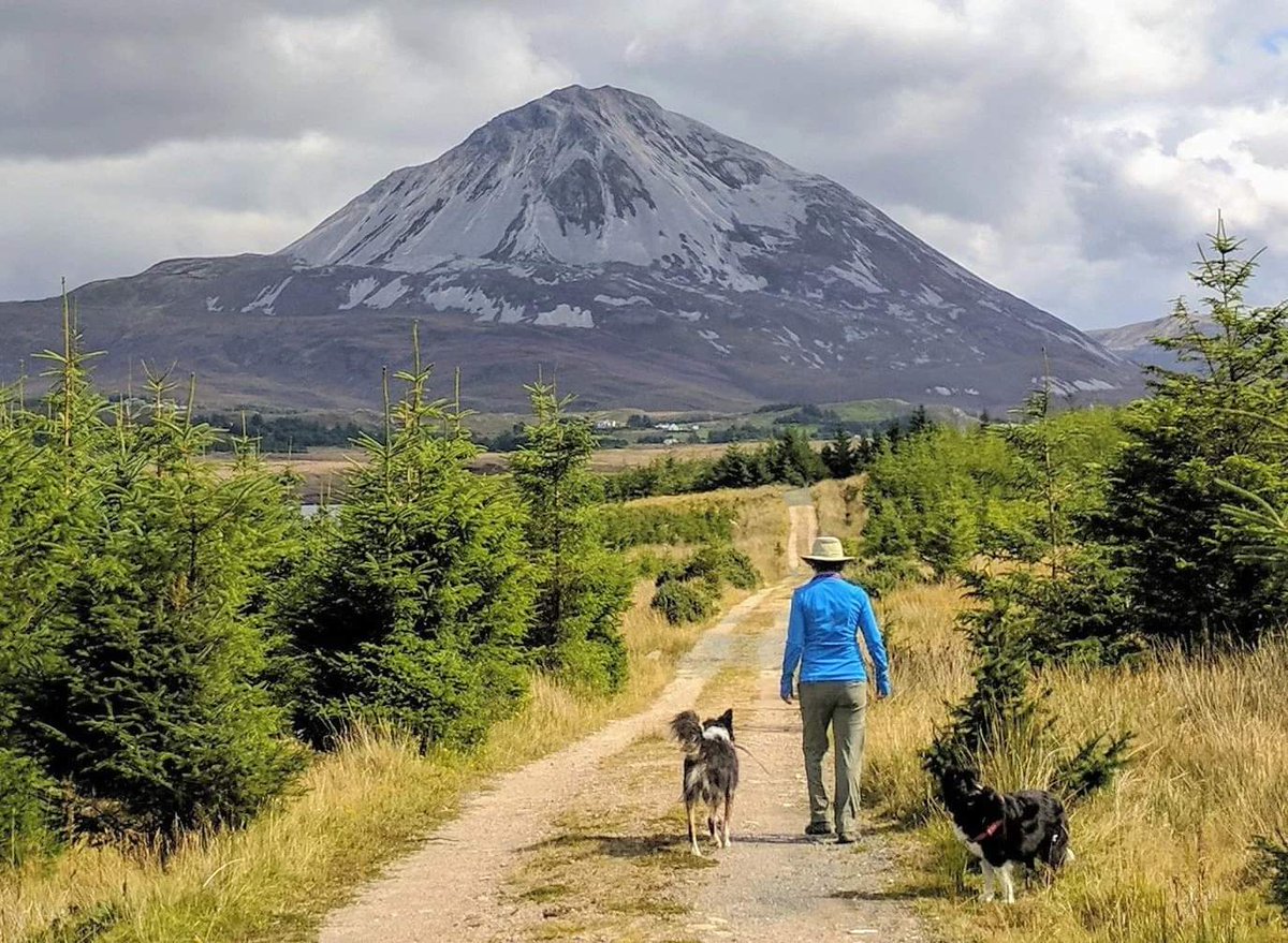 Dear Donegal, you won't be able to keep your secrets forever...
💚💛

📌 Mount Errigal, County Donegal
📸 🅸🅶
We 💚🤍🧡 Ireland