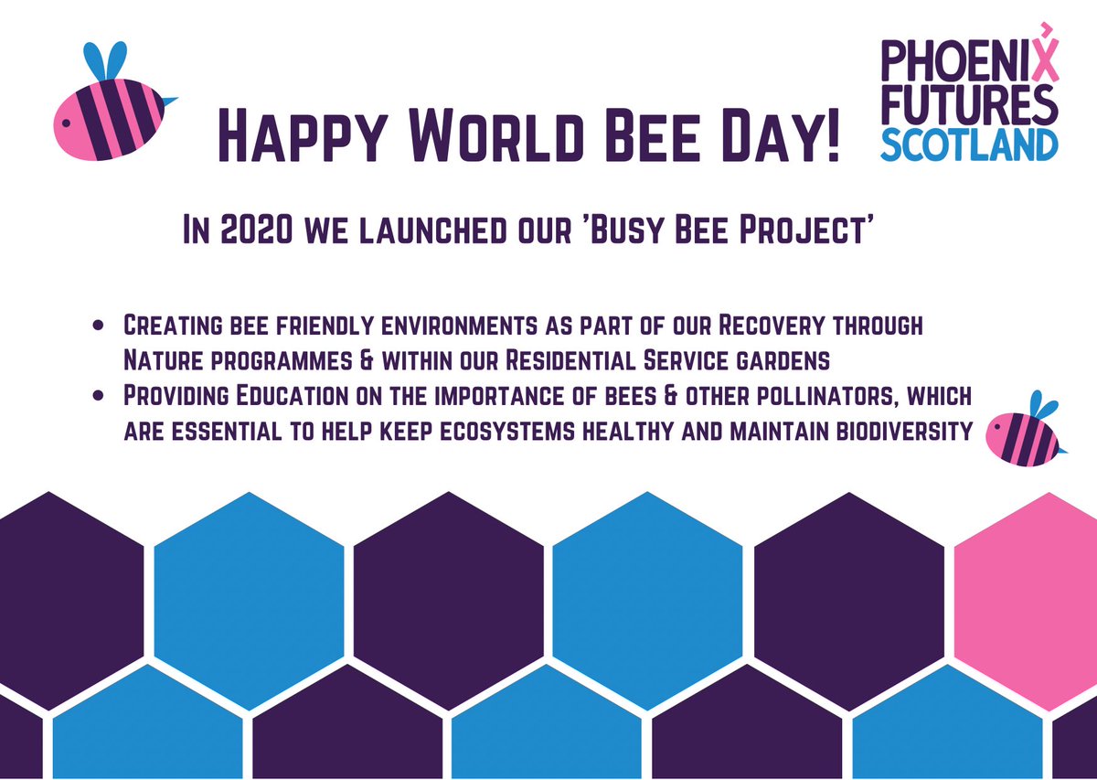 Phoenix Futures Scotland S Tweet Happy World Bee Day Beeday Worldbeeday Trendsmap