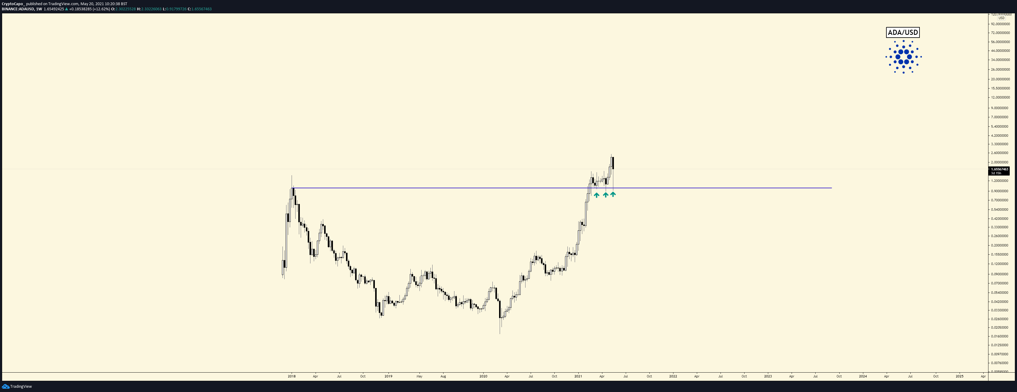 cardano altcoin bull