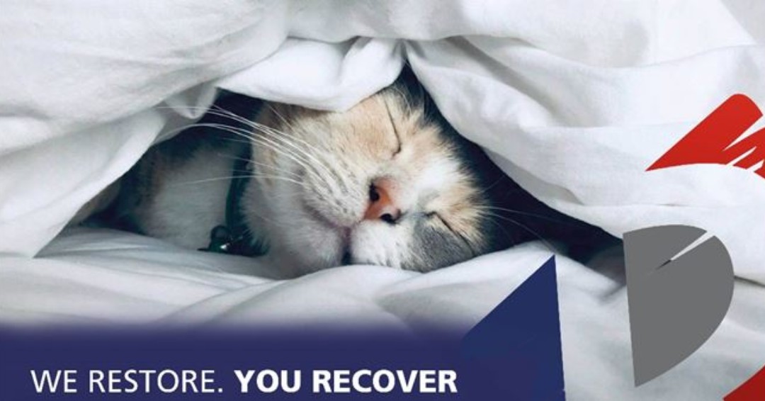 rainbow_pryan's tweet photo. That feeling when you know that Rainbow International are just a phone call away when you need us 24/7 - 365 ☎️

#WeRestoreYouRecover ✨
#RainbowInternationalUK 🌈🔥💧 https://t.co/dAzOekpxvF