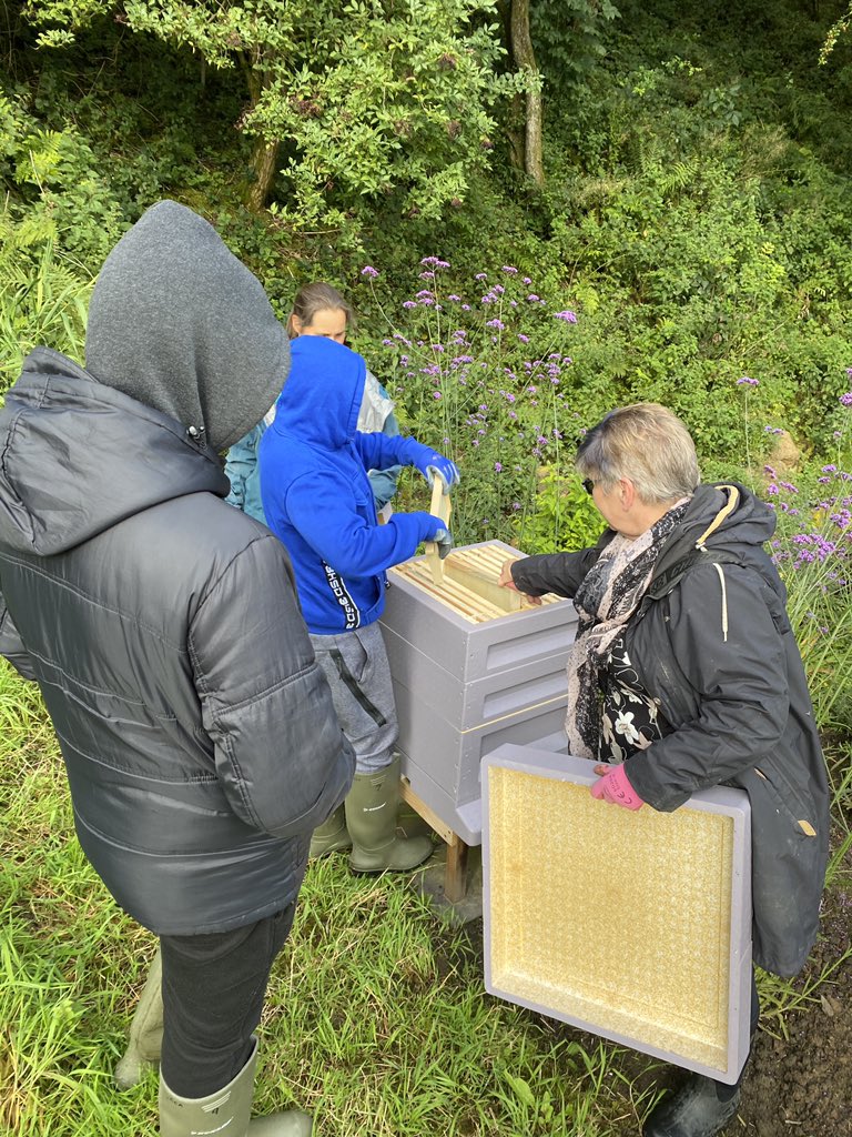 CcaEco's tweet photo. Happy World Bee Day 2021 🐝💛@Head_CCA @DeputyHead_CCA @Bramble_Laurel @ASDANeducation #buzzin #WorldBeeDay #bees #worldbeeday2021 #beekindtobees 🐝🐝🐝🐝🐝🐝🐝🐝🐝🐝🐝 https://t.co/wkk67oOa8y