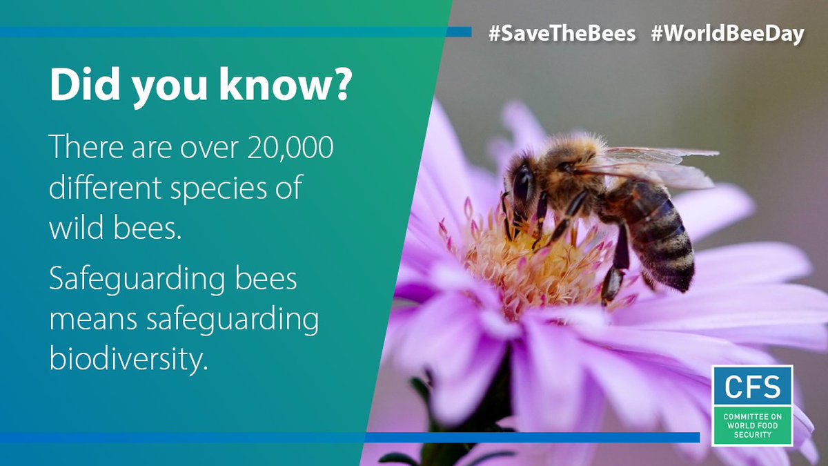 Savin the bees