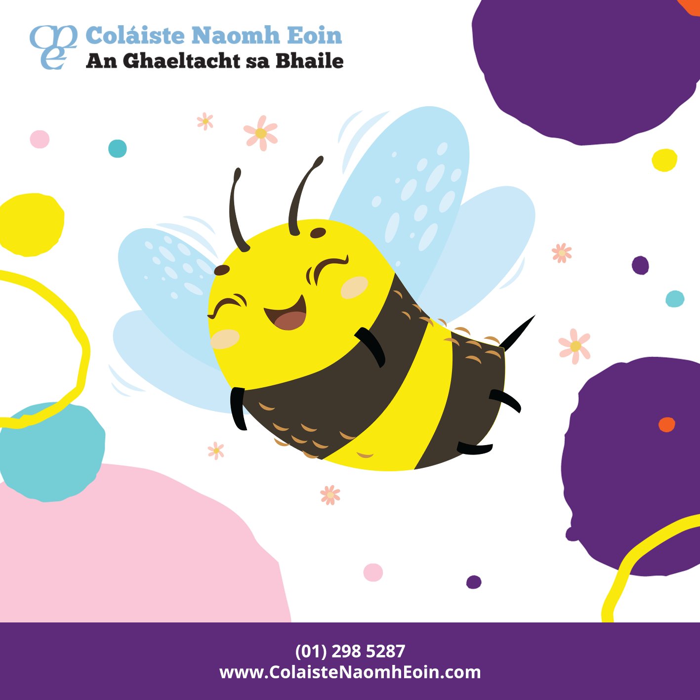 Colaiste Naomh Eoin Today Is World Bee Day Without Bees Our Entire Food Chain Could Potentially Collapse Please Bee Kind Follow The Advice In This Article To See How