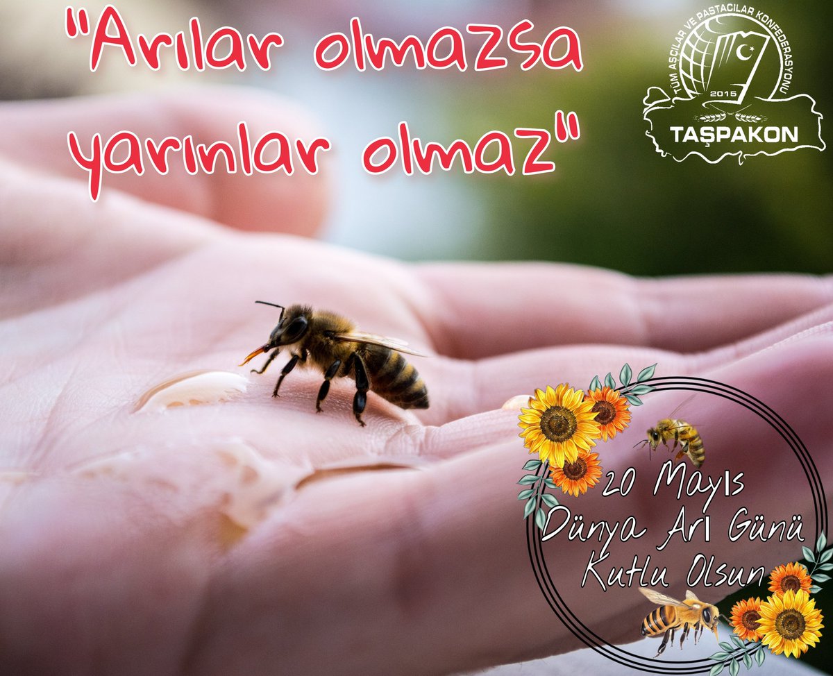 TAŞPAKON 🇹🇷 (@taspakontr) on Twitter photo 