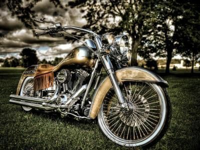 RoverDov123's tweet image. @CodieWestwood Happy Thursday Codie 🏍❤🎸