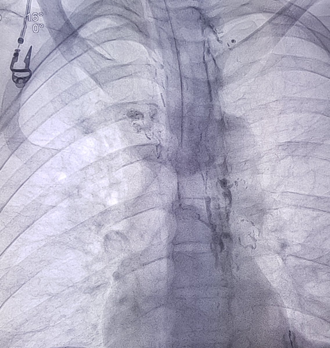 Dr Ajit Yadav tweet media