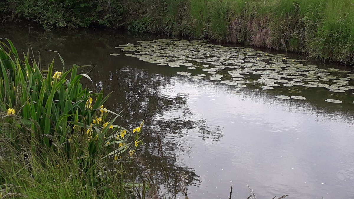 PatMaussion's tweet photo. Semaine nationale de l Agriculture, visite de l'exploitation du GAEC du Lathan:
#renouvellementdesgenerations
#adaptationchangementclimatique
#irrigation
#transformationalaferme
#formationprofessionnelle
Merci à Sylvain pour l 'accueil et les échanges
@C_MORANCAIS https://t.co/t2seei7Uit
