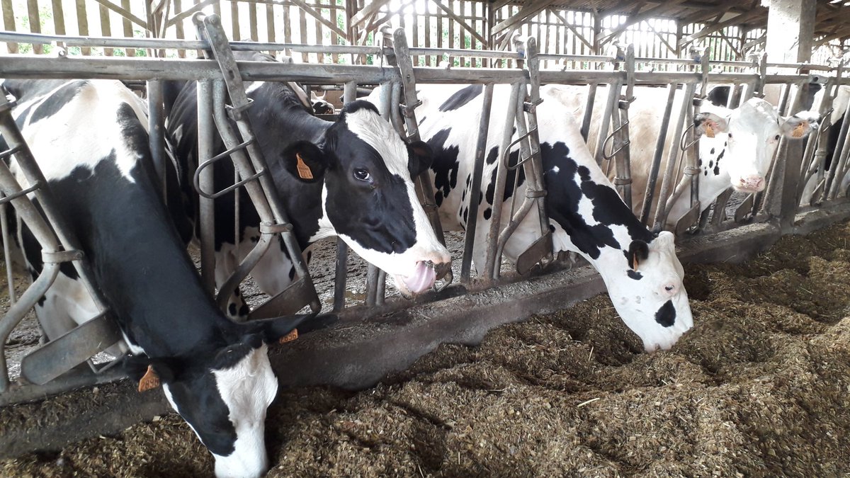 PatMaussion's tweet photo. Semaine nationale de l Agriculture, visite de l'exploitation du GAEC du Lathan:
#renouvellementdesgenerations
#adaptationchangementclimatique
#irrigation
#transformationalaferme
#formationprofessionnelle
Merci à Sylvain pour l 'accueil et les échanges
@C_MORANCAIS https://t.co/t2seei7Uit