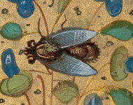 LimediaGalerie's tweet image. Le miel, c'est un régal 😋
Le 20 mai c'est la journée mondiale des abeilles 🐝
Elles sont en danger, il faut les protéger !!
#LimediaGaleries
buff.ly/3y2dSPz