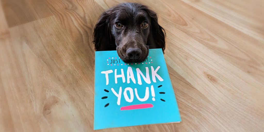 Thanks so much <a href="/faithc75/">Faith la Grange (she/her/hers)</a> <a href="/ellenmaike/">Ellen Wilson</a> <a href="/MicrosoftUK/">Microsoft UK</a> #ShareIreland That generated so much thought and although we haven't quite solved it all quite yet😃there's no doubt we're on the way and ready for the challenge #ResetReformRenewResilient