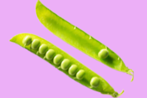 Pea-Brain Thinking – Strategies to Mitigate Presentation Panic! We totally understand your own concerns around presenting and public speaking when you come to a Public Speaking Coach for help. Read more for our top tips..mailchi.mp/345fbf84cc26/p…