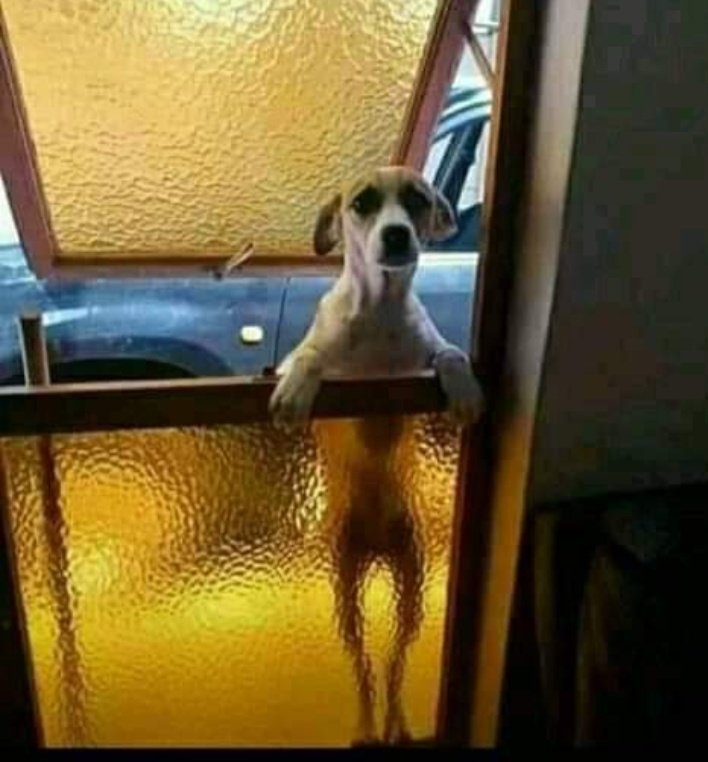 mkhuluhlela's tweet image. "eh Mjita Nangu Nomfundo la phandle. uzomnika I second chance or ngimlume ?"