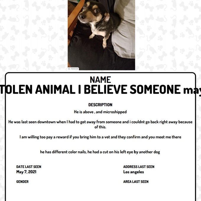 Please help me find my furbaby, someone took him and my phone downtown after walking alone trying to