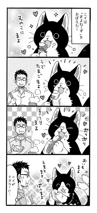 ねこまたと まよ🐱🥚 