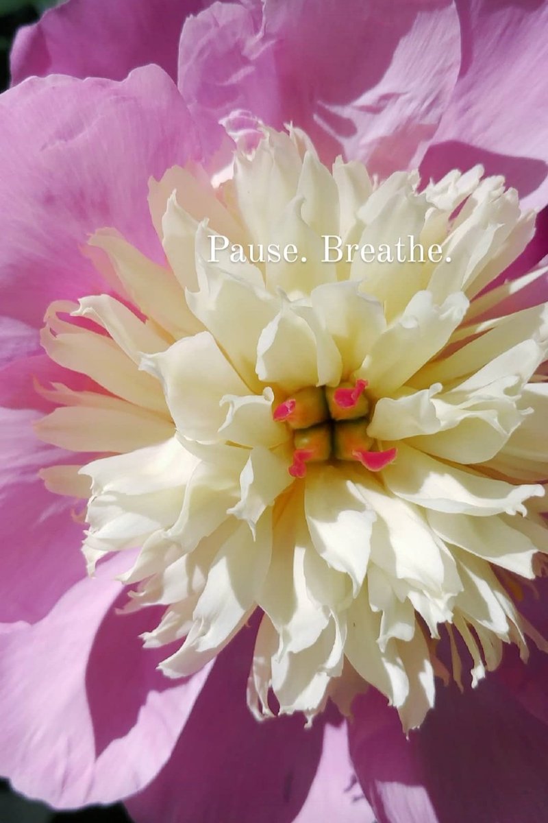 50☆&☆FABULOUS🦋 (@reikidawn19) on Twitter photo 