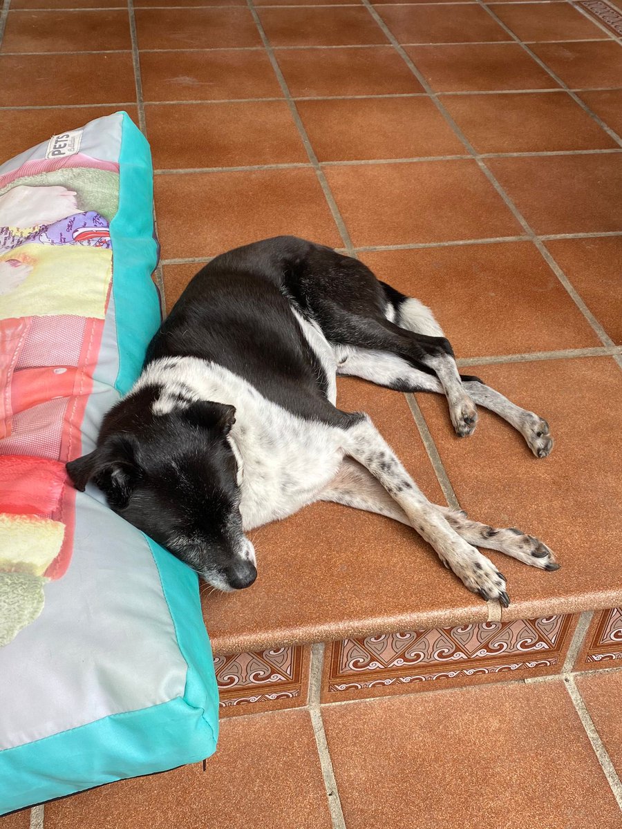 Sonia ✊🍉 tweet media