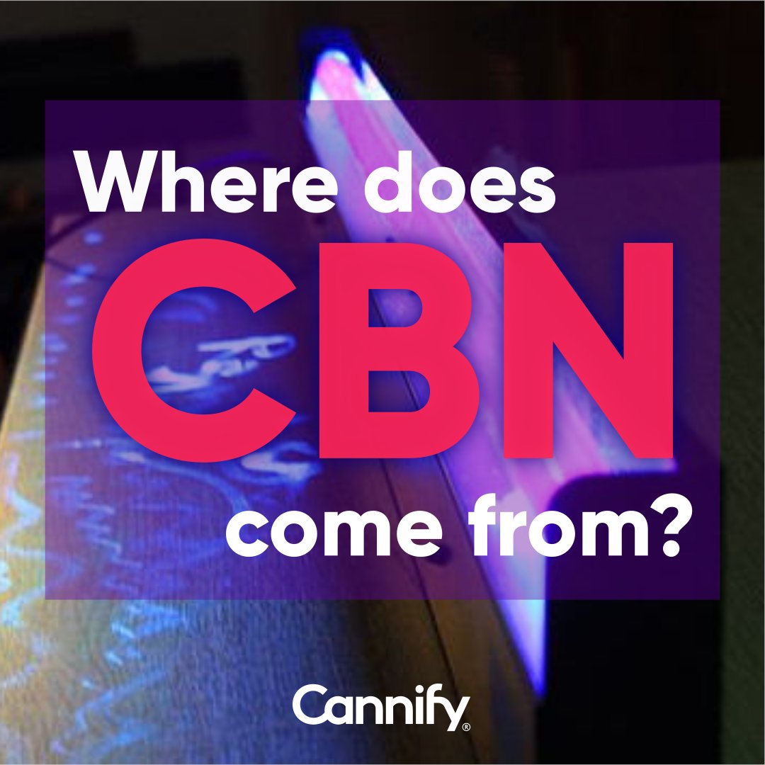 If #THCA doesn't #decarboxylate and become #THC, it eventually turns into cannabinolic acid (CBNA) due to air and UV light. Heat turns CBNA into #CBN. THC to CBN conversion also happens over time because of light, and more so in #UV light. More at cannify.us