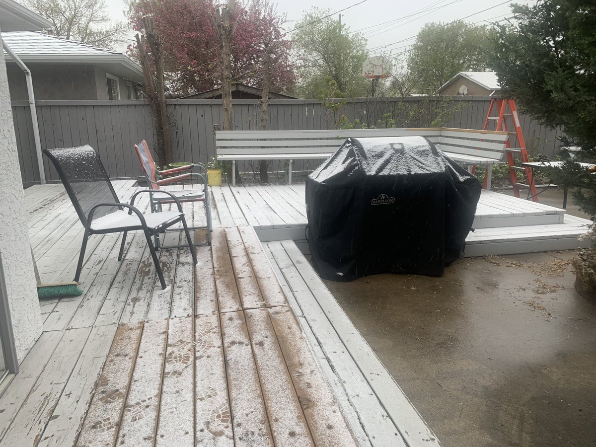 Newsbob's tweet photo. This sucks, change my mind. @devillainess #yyc #coldiness https://t.co/dOGjH6Bn9F