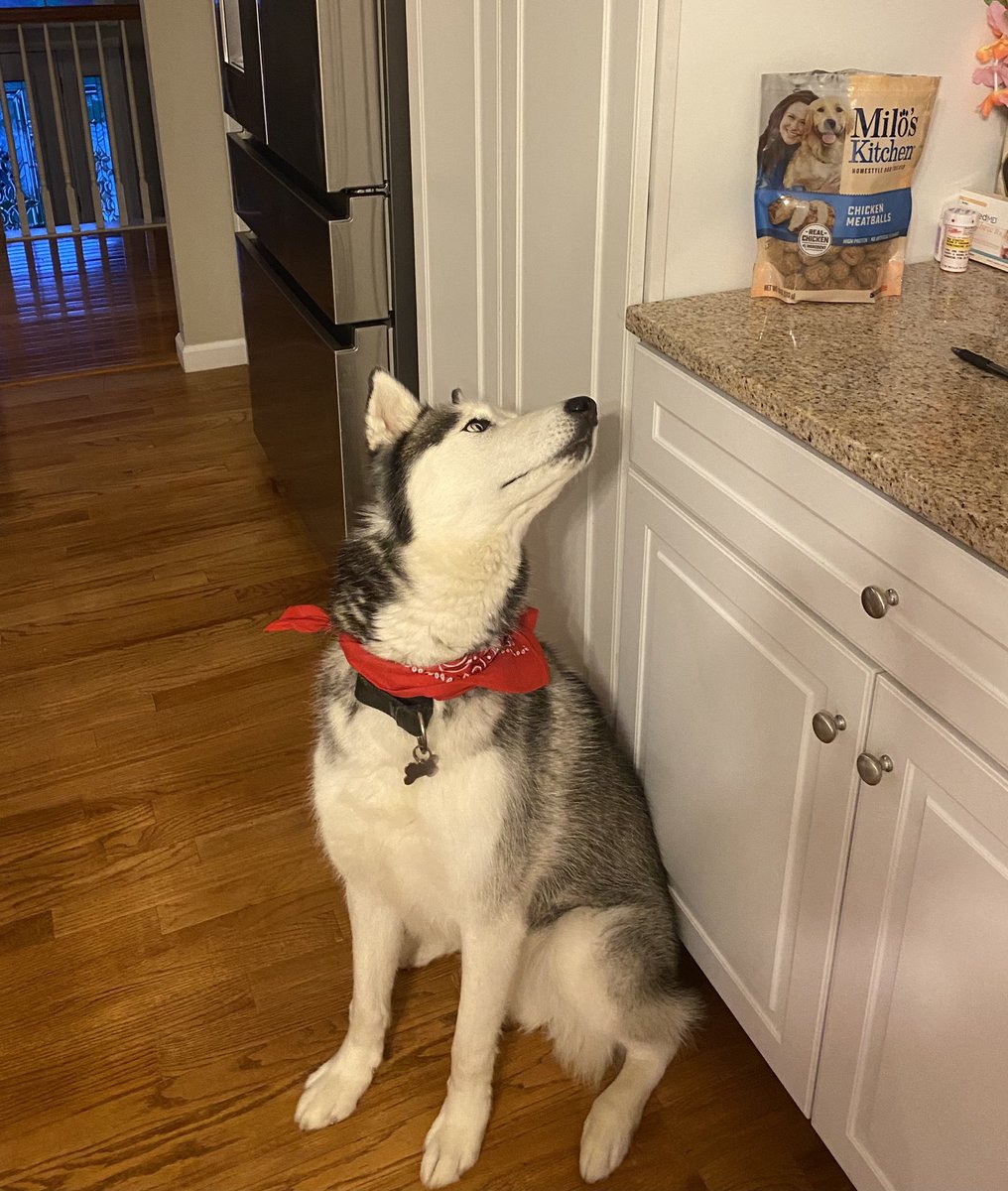 Megan Vaughan tweet media